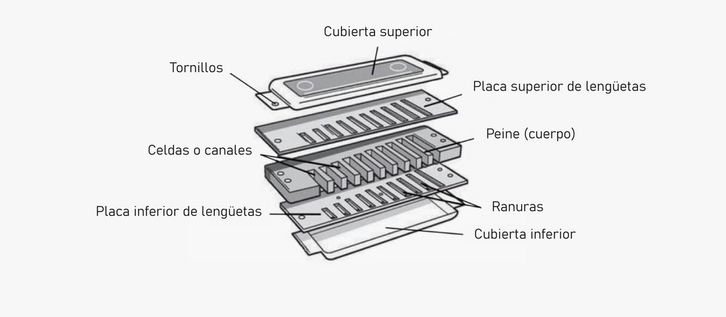 Partes y materiales de la armónica diatónica (o blusera)