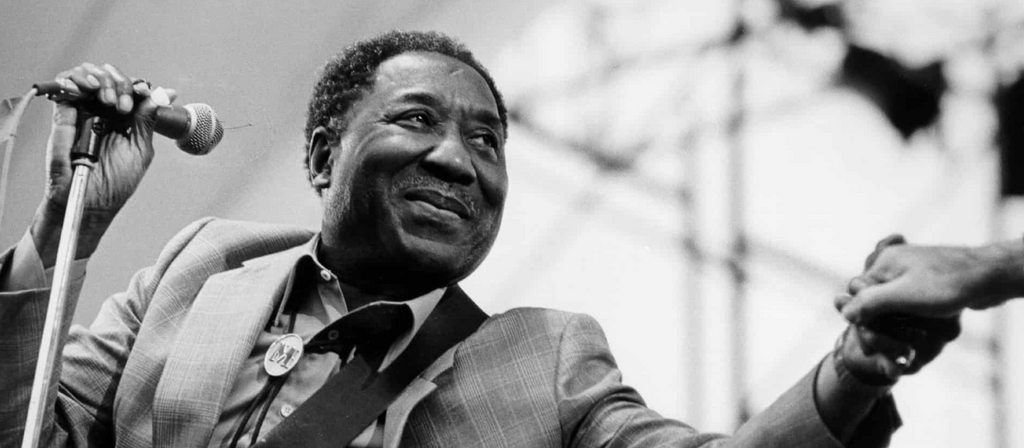 Todo sobre Muddy Waters